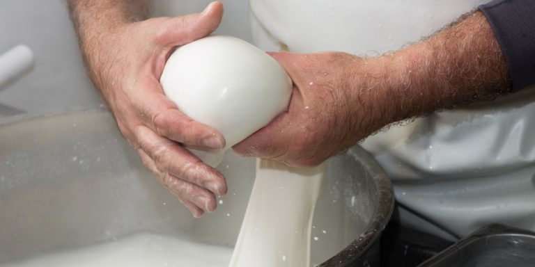 eataliamo banner about us provvisorio 2 768x384